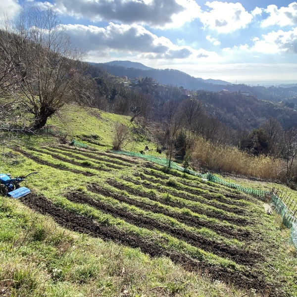 Prodotti Naturali