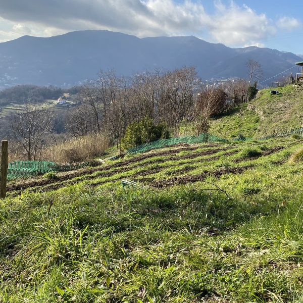 Servizi Agricoli